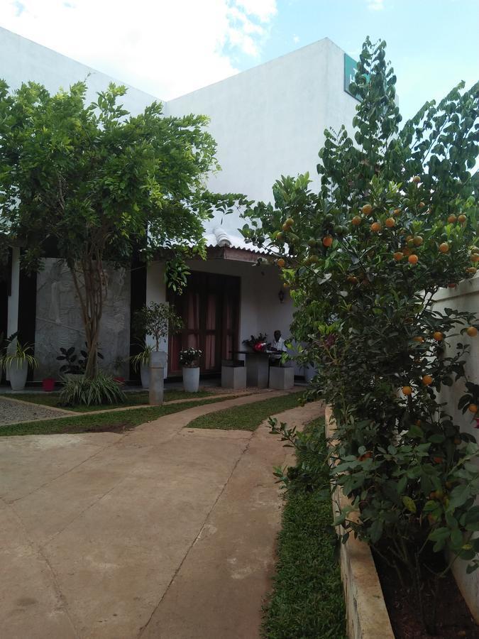Tree House Holiday Home Kombichankulama Luaran gambar