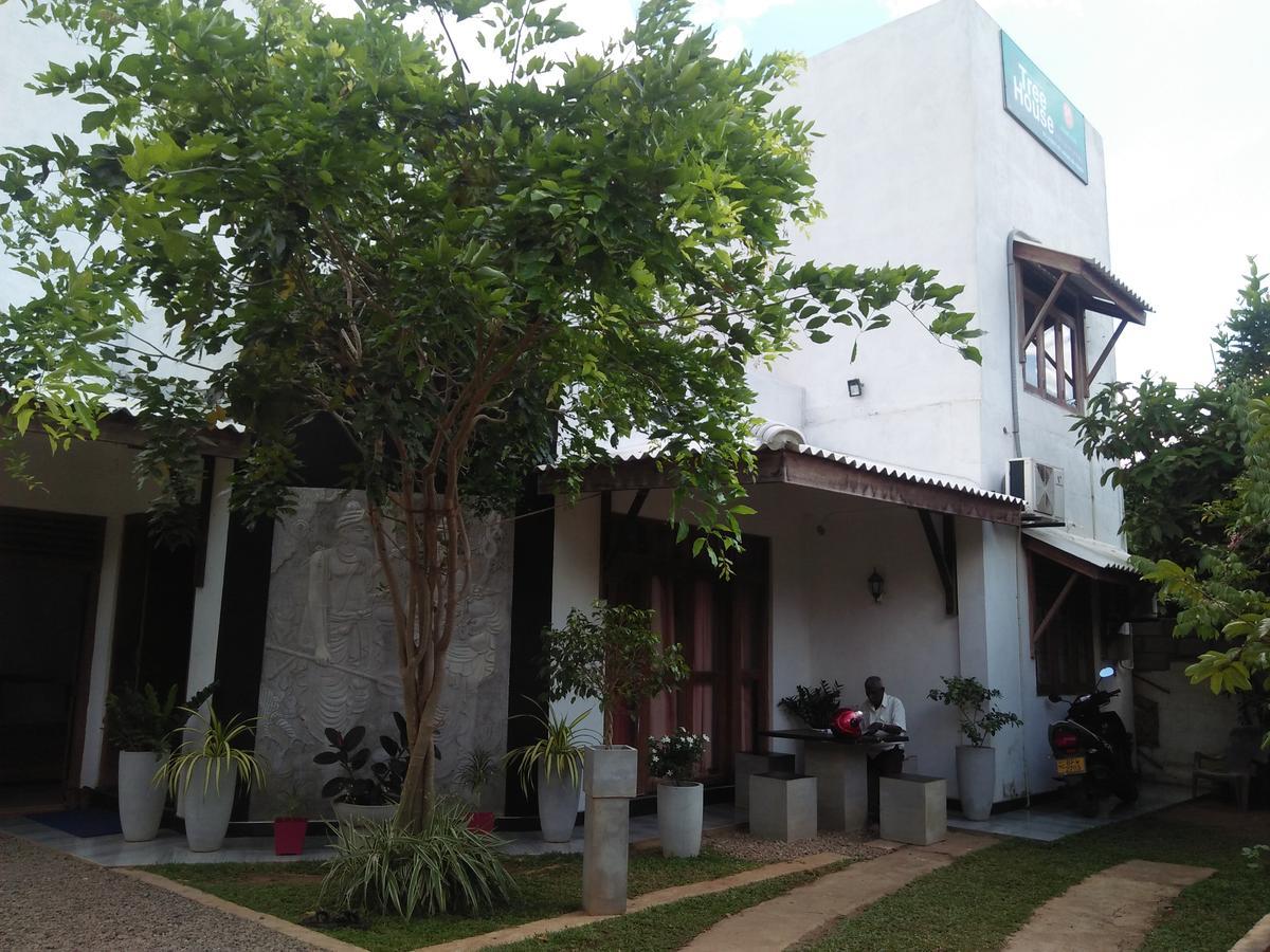 Tree House Holiday Home Kombichankulama Luaran gambar
